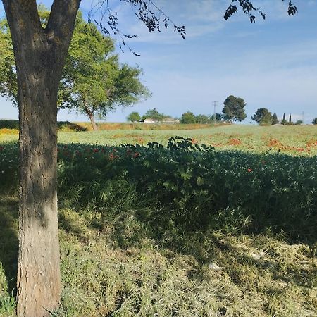 Casa Rural El Realengo Las Casas  Kültér fotó